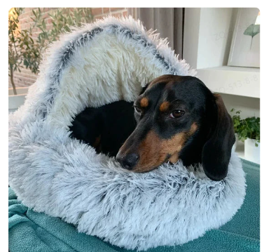 Chic Charm 2-in-1 Pet Bed Comfort Cushion