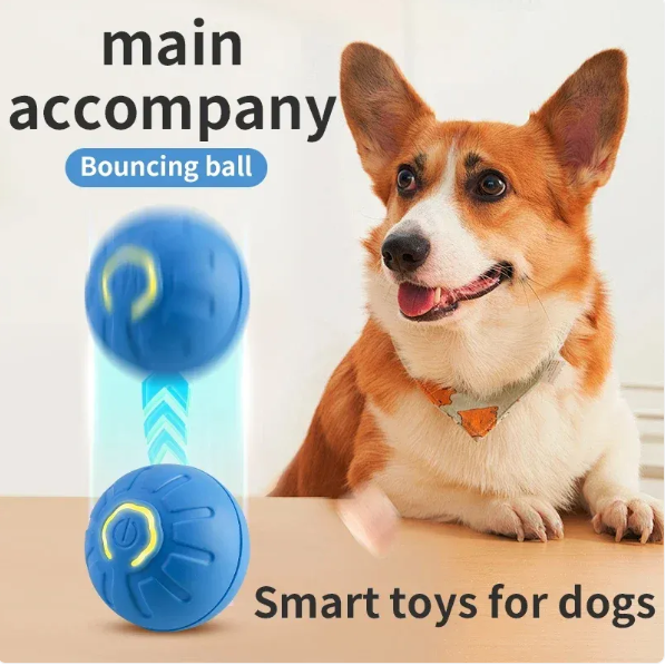 Chic Charm Pet Play Ball Interactive Dog Toy