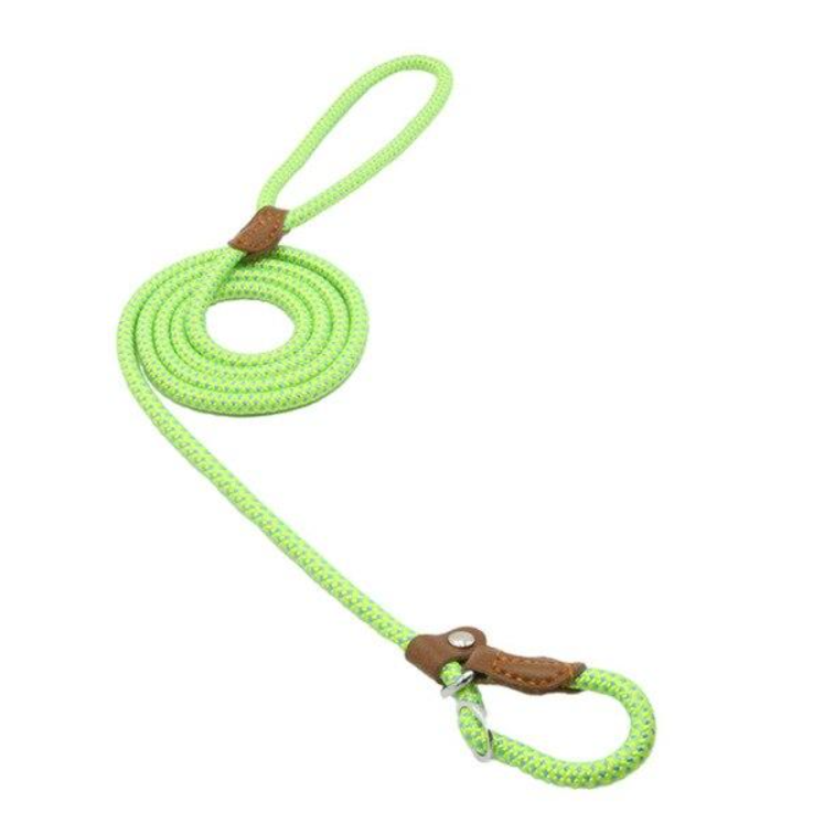 Chic Charm Nylon Pup Set for Dogs and Puppies