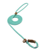 Chic Charm Nylon Pup Set for Dogs and Puppies