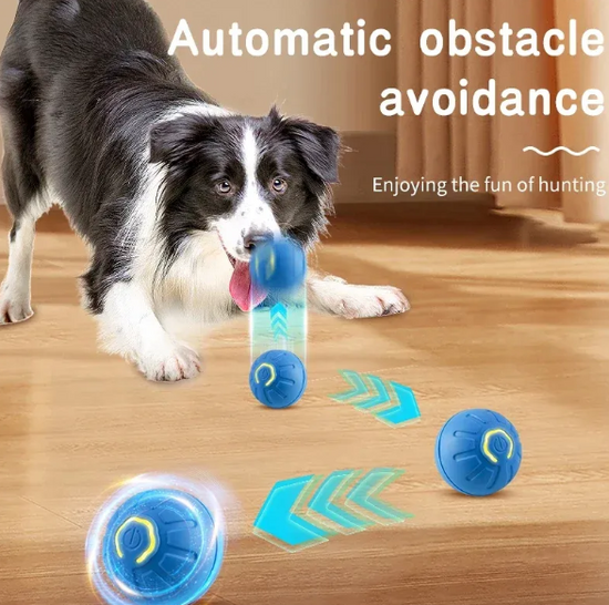 Chic Charm Pet Play Ball Interactive Dog Toy