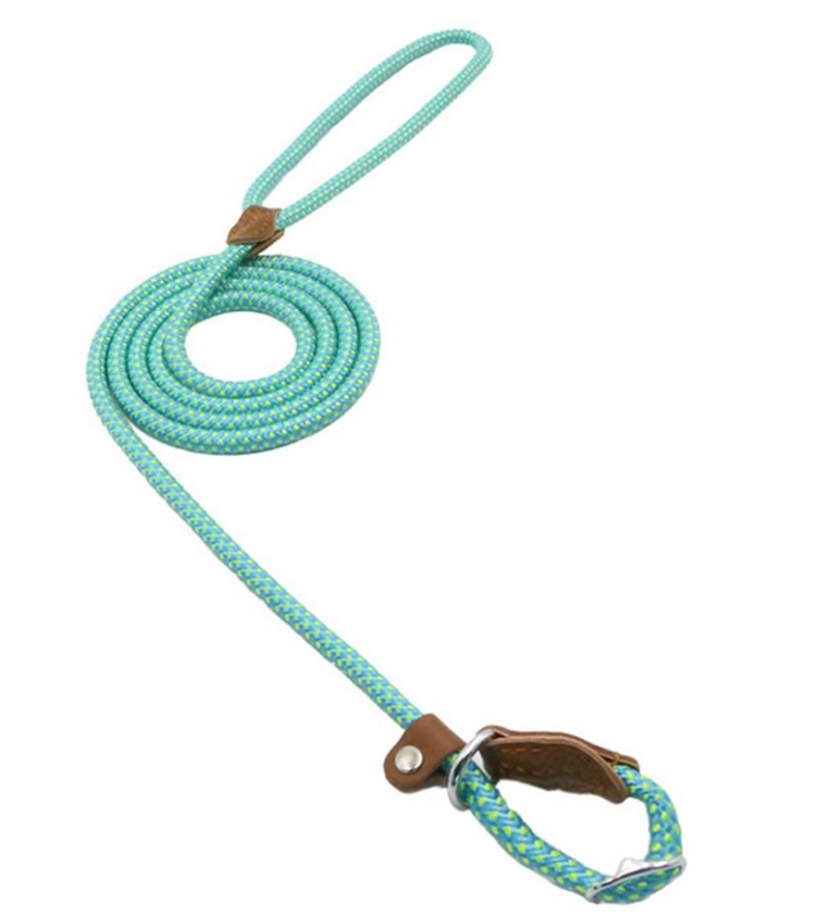 Chic Charm Nylon Pup Set for Dogs and Puppies