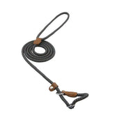 Chic Charm Nylon Pup Set for Dogs and Puppies