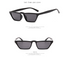 Chic Charm Eyebrow Sunglasses, Sunglasses, Small Frame Shades