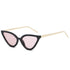 Chic Charm Cat Eye Sunglasses Fashionable Shades