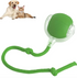 Chic Charm Smart Rolling Pet Ball Interactive Toy