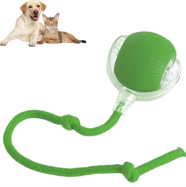 Chic Charm Smart Rolling Pet Ball Interactive Toy