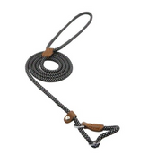 Chic Charm Nylon Pup Set for Dogs and Puppies