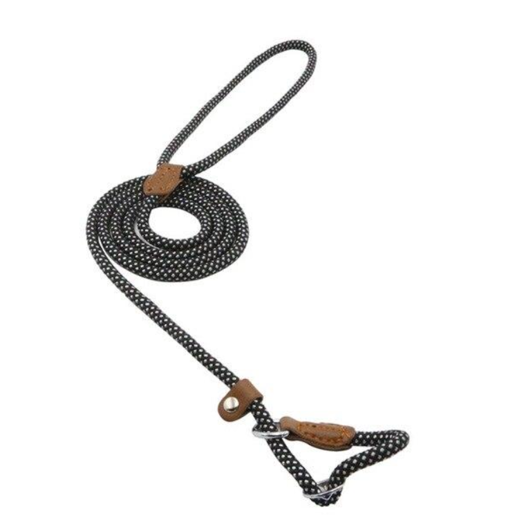 Chic Charm Nylon Pup Set for Dogs and Puppies