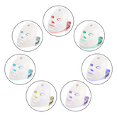 Chic Charm Skin Rejuvenation Facial Beauty Device