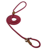 Chic Charm Nylon Pup Set for Dogs and Puppies