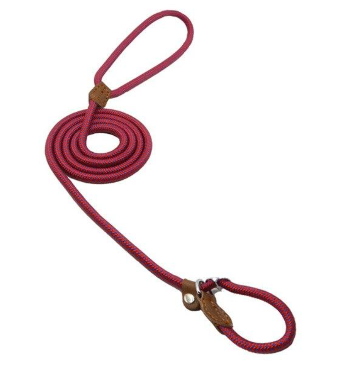 Chic Charm Nylon Pup Set for Dogs and Puppies