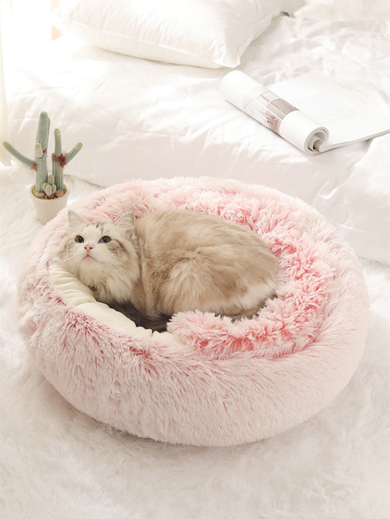 Chic Charm 2-in-1 Pet Bed Comfort Cushion
