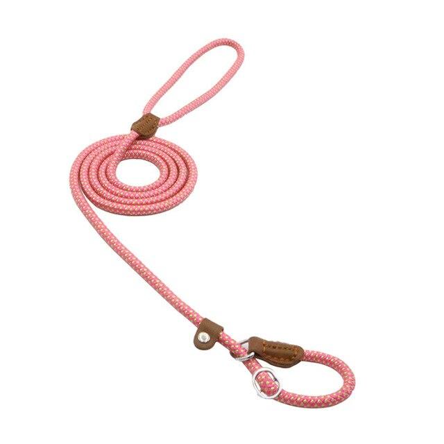 Chic Charm Nylon Pup Set for Dogs and Puppies