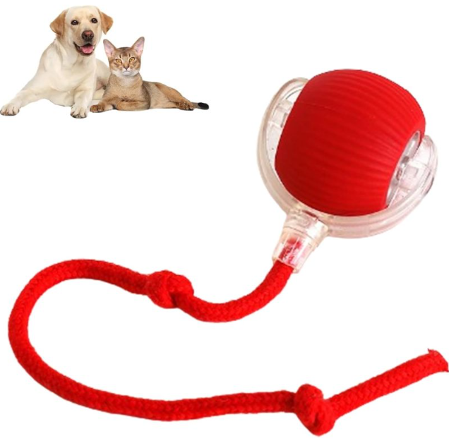 Chic Charm Smart Rolling Pet Ball Interactive Toy