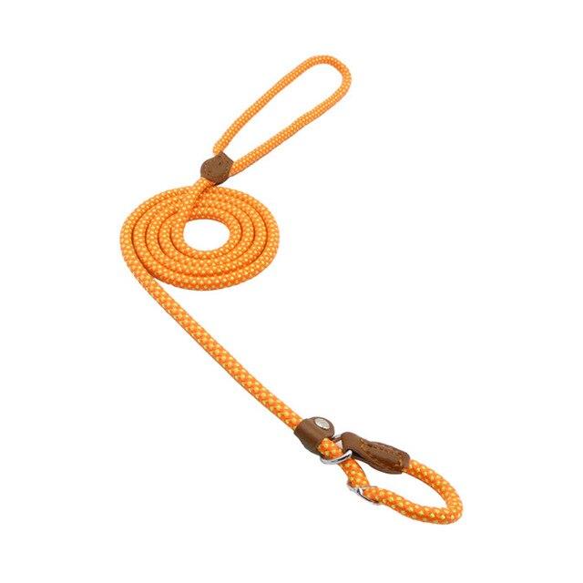 Chic Charm Nylon Pup Set for Dogs and Puppies