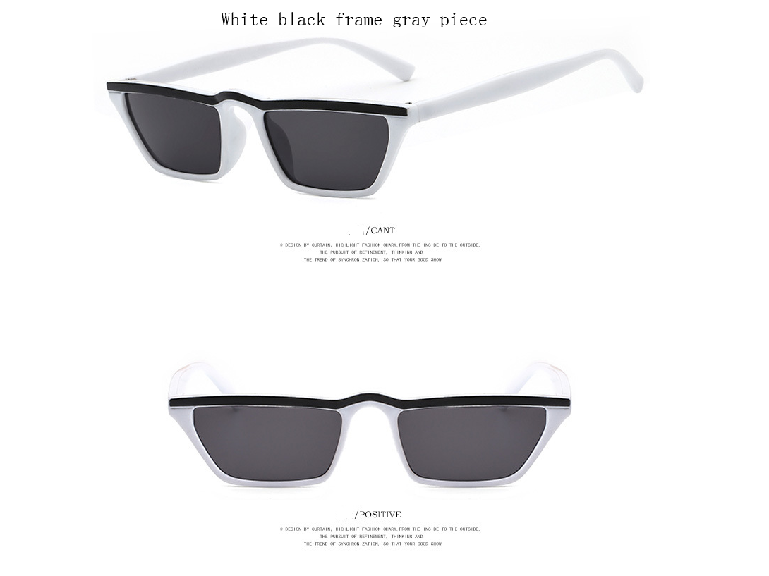 Chic Charm Eyebrow Sunglasses, Sunglasses, Small Frame Shades