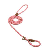 Chic Charm Nylon Pup Set for Dogs and Puppies
