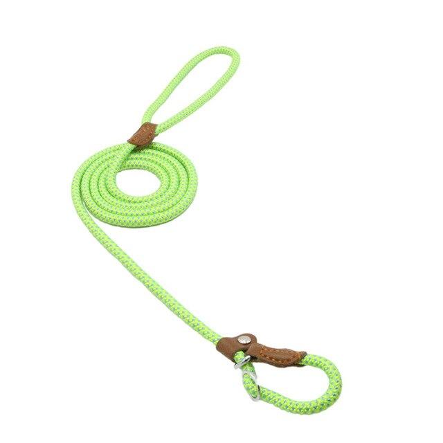 Chic Charm Nylon Pup Set for Dogs and Puppies