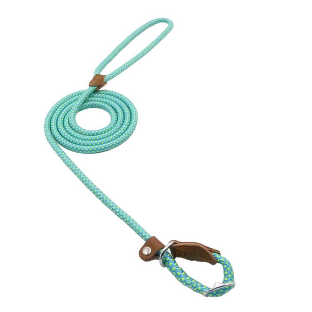 Chic Charm Nylon Pup Set for Dogs and Puppies
