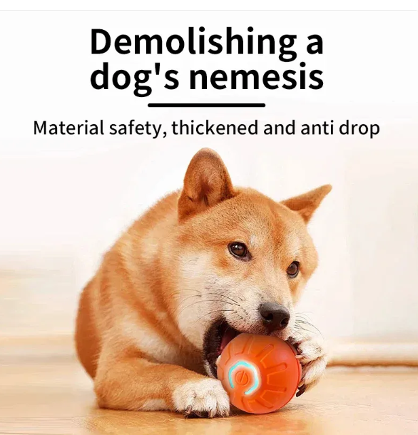 Chic Charm Pet Play Ball Interactive Dog Toy