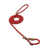 Chic Charm Nylon Pup Set for Dogs and Puppies
