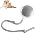 Chic Charm Smart Rolling Pet Ball Interactive Toy
