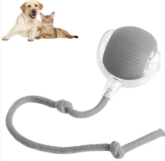 Chic Charm Smart Rolling Pet Ball Interactive Toy