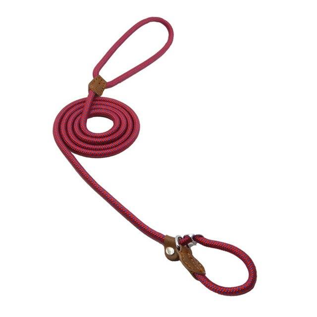 Chic Charm Nylon Pup Set for Dogs and Puppies